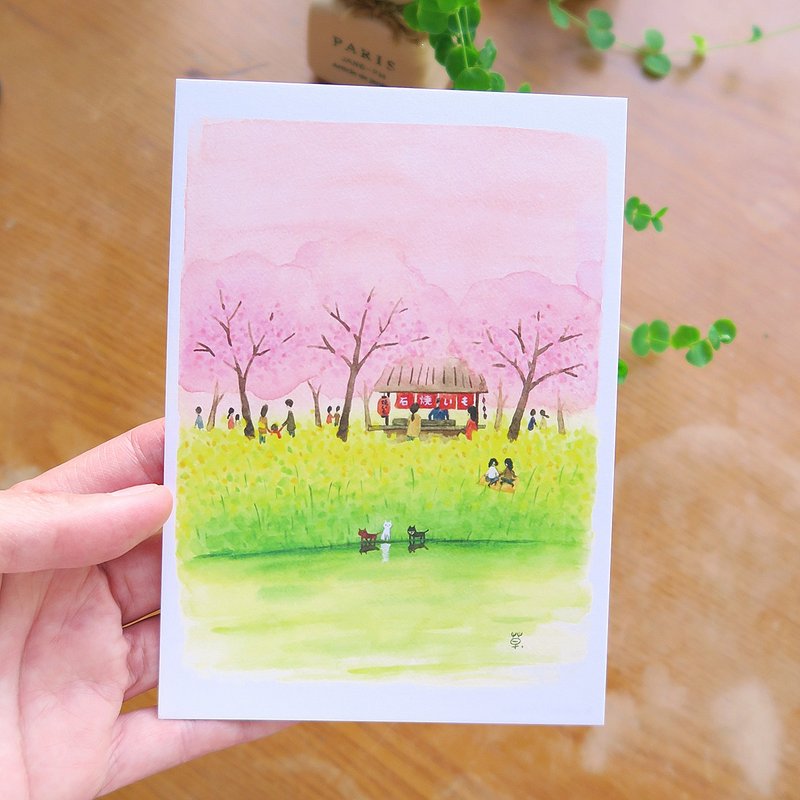 樱花与油菜花的交响诗  明信片 - 卡片/明信片 - 纸 粉红色