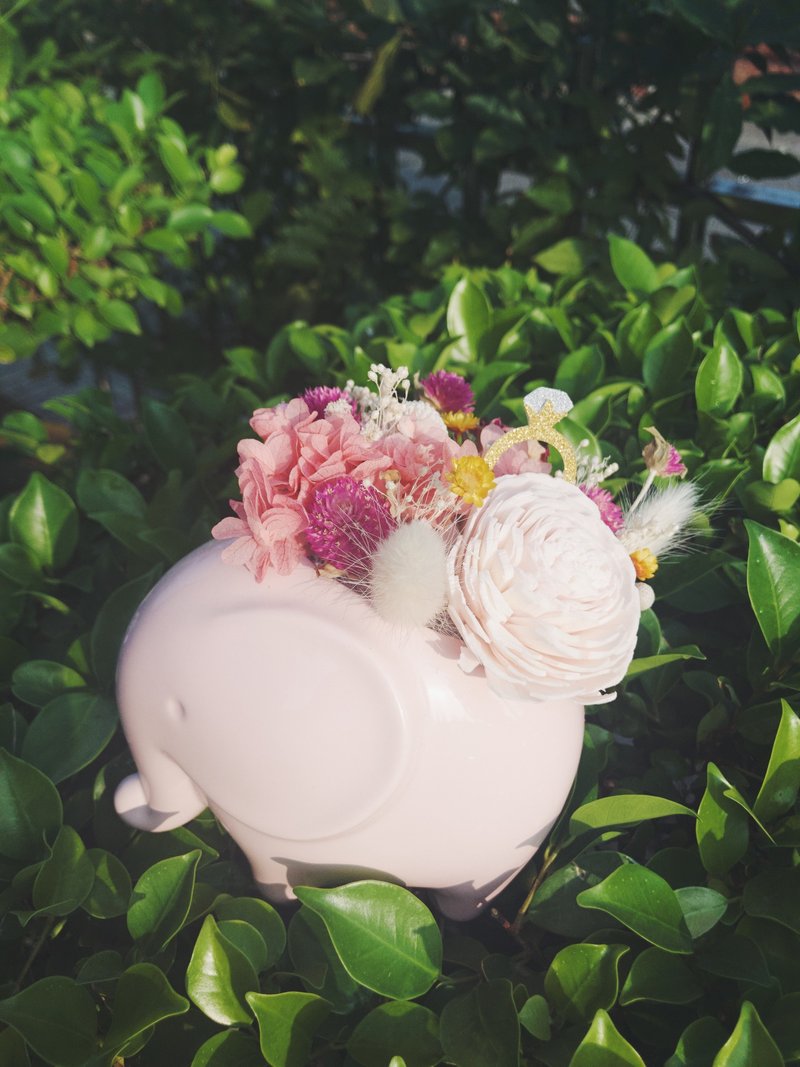 粉色大象进货了/象*征幸福/扩香不凋花/小盆花系列 - 干燥花/捧花 - 植物．花 