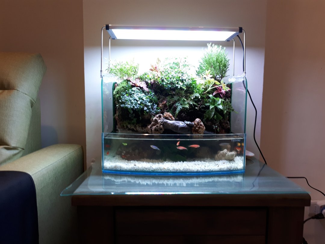 开运生态造景鱼缸AB-45海湾型   居家风水最耀眼的摆饰 - 植栽/盆栽 - 玻璃 