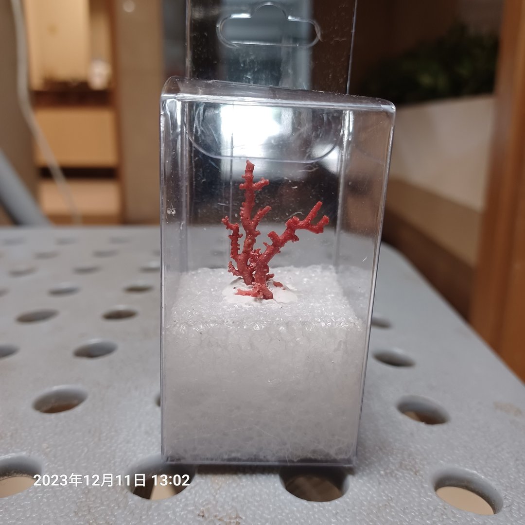 小资族珊瑚摆件 - 其他 - 半宝石 