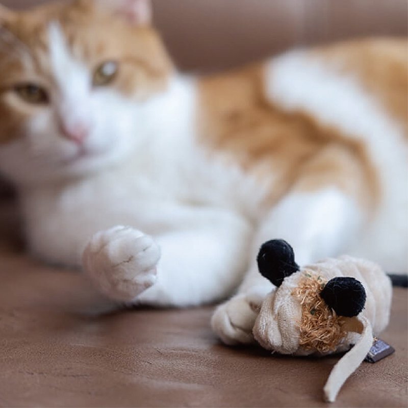 猫玩具 猫草 狂野猫咪 逗猫 万圣变装鼠 - 玩具 - 环保材料 
