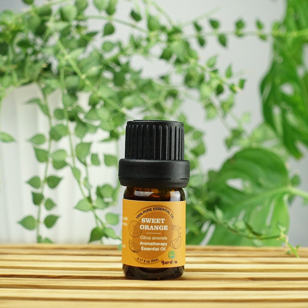 100%纯天然香薰精油5ml - 甜橙 - 香薰/精油/线香 - 其他材质 