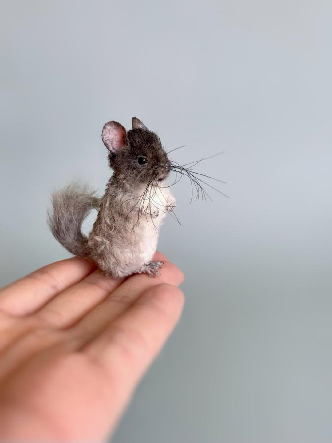 Miniature Chinchilla - 摆饰 - 其他材质 灰色