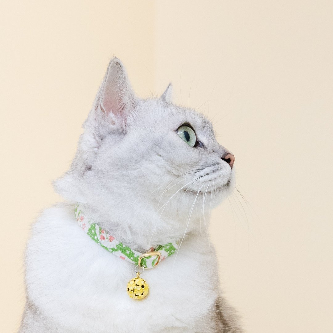 宠物舒适安全项圈 安全扣项圈(猫项圈/狗项圈)--北欧绿草 - 项圈/牵绳 - 棉 绿色
