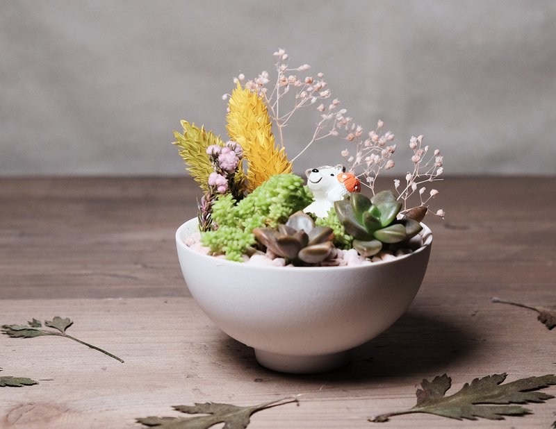 花园慢慢吃 干燥花多肉盆栽DIY材料包 succulents potted - 植栽/盆栽 - 瓷 绿色