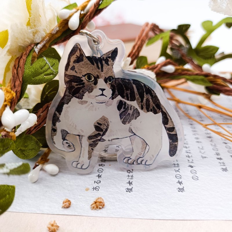 KR423_厭世虎斑 / 晶透吊飾 - 钥匙链/钥匙包 - 塑料 多色