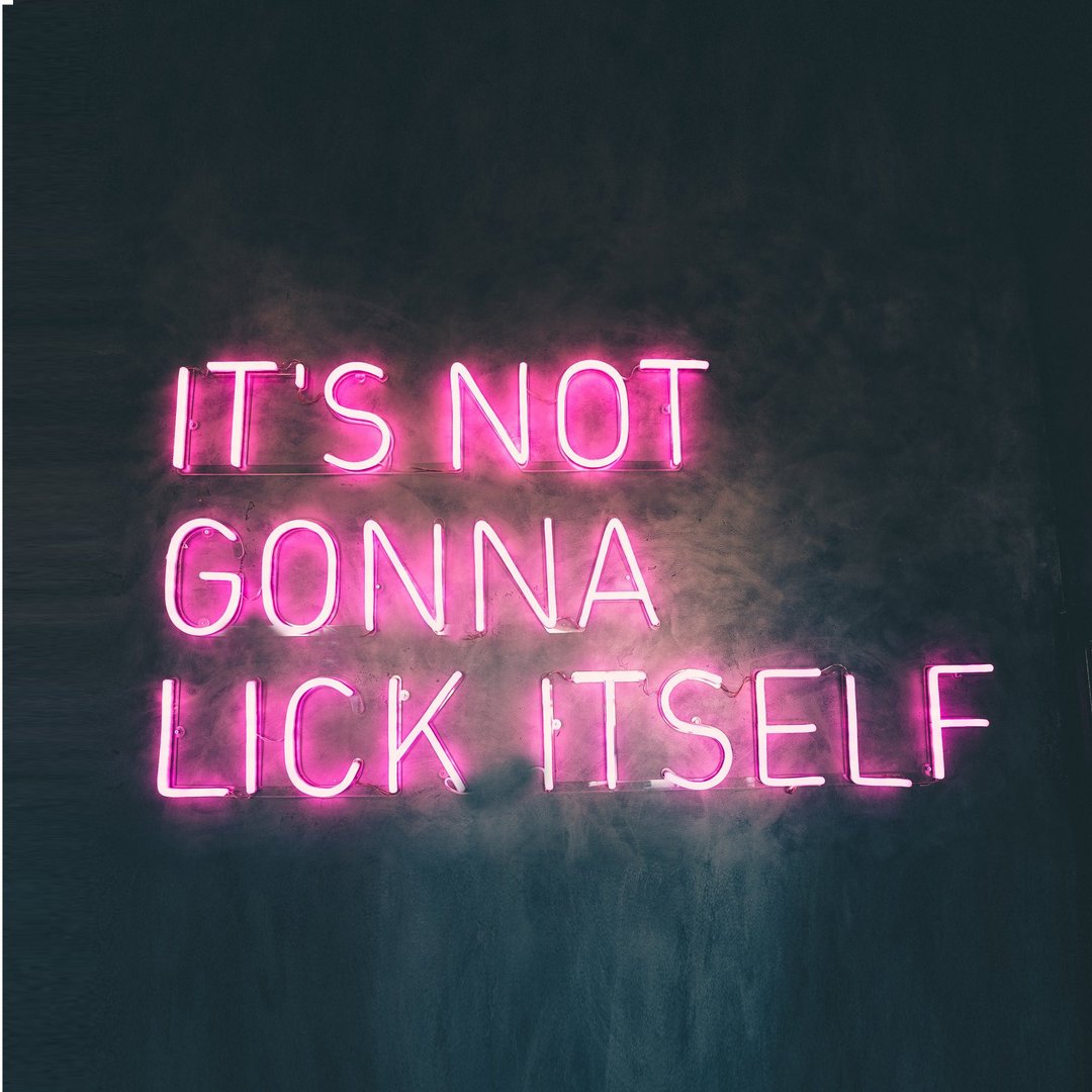 IT'S NOT GONNA LICK ITSELF霓虹灯LED发光字Neon Sign - 灯具/灯饰 - 压克力 透明