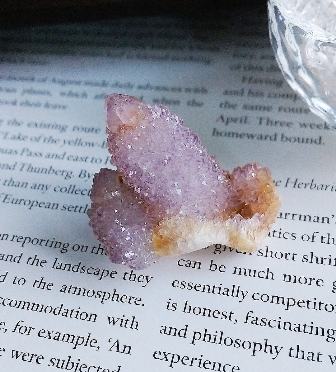 Cactus Amethyst 南非产地 仙人掌紫水晶 天然矿石 原矿 - 摆饰 - 其他材质 