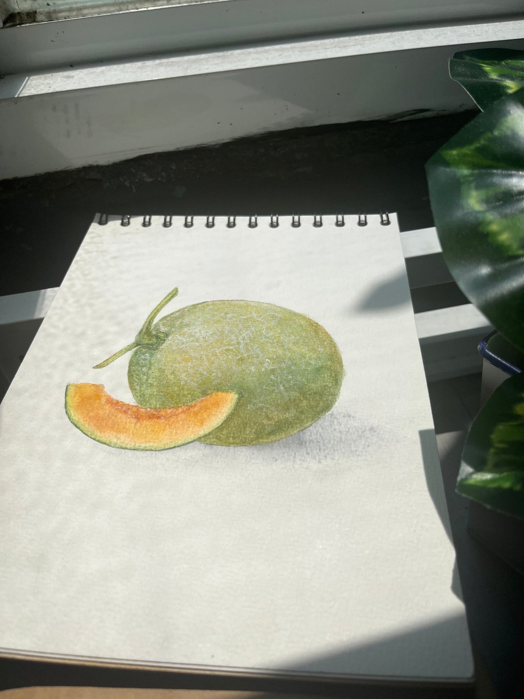 美利蓝 夏日哈密瓜 - 插画/绘画/写字 - 颜料 
