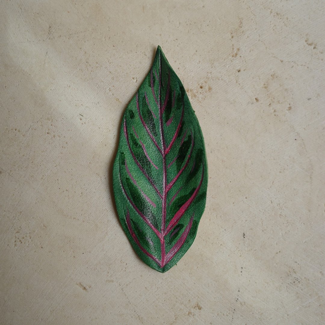 红军粗勒草 Aglaonema pictum Red Army - 摆饰 - 真皮 绿色