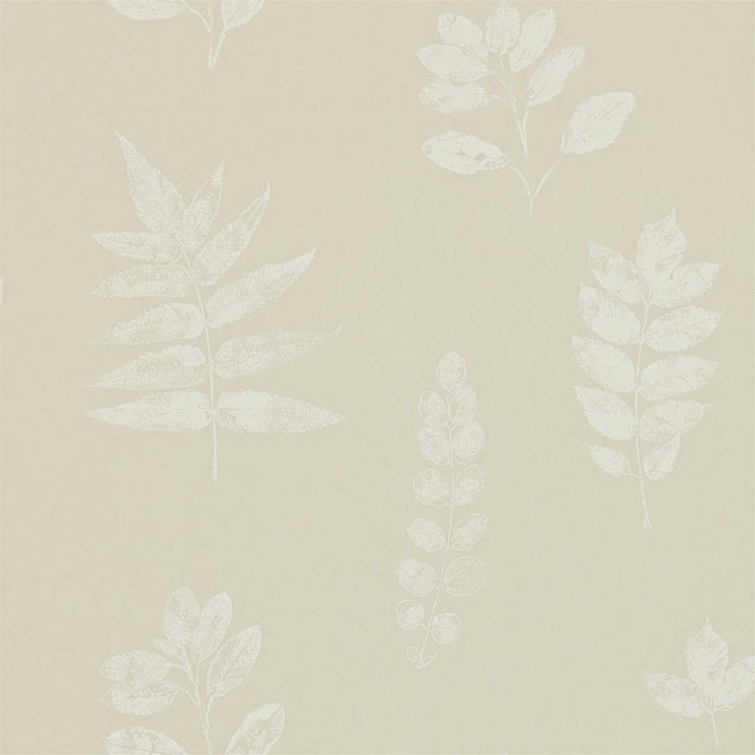 Sanderson Home_Madison_Laural 月桂树 壁纸 - 墙贴/壁贴 - 纸 