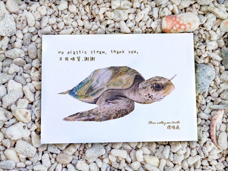 不要吸管龟 手绘水彩插画明信片 - 卡片/明信片 - 纸 咖啡色