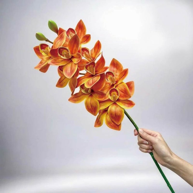 居家轻奢高级蝴蝶兰魅力橘仿真花花材 (1 入组) - 摆饰 - 塑料 黄色