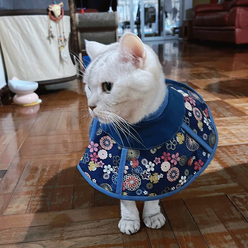 猫咪专用头罩 防抓防舔 伊莉莎白项圈 - 衣/帽 - 棉 多色