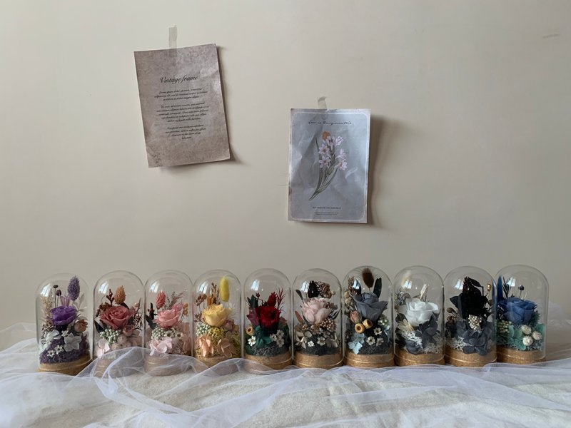 sueing_blossom 永生玫瑰迷你玻璃罩 永生玫瑰 干燥花 永生花 - 干燥花/捧花 - 植物．花 