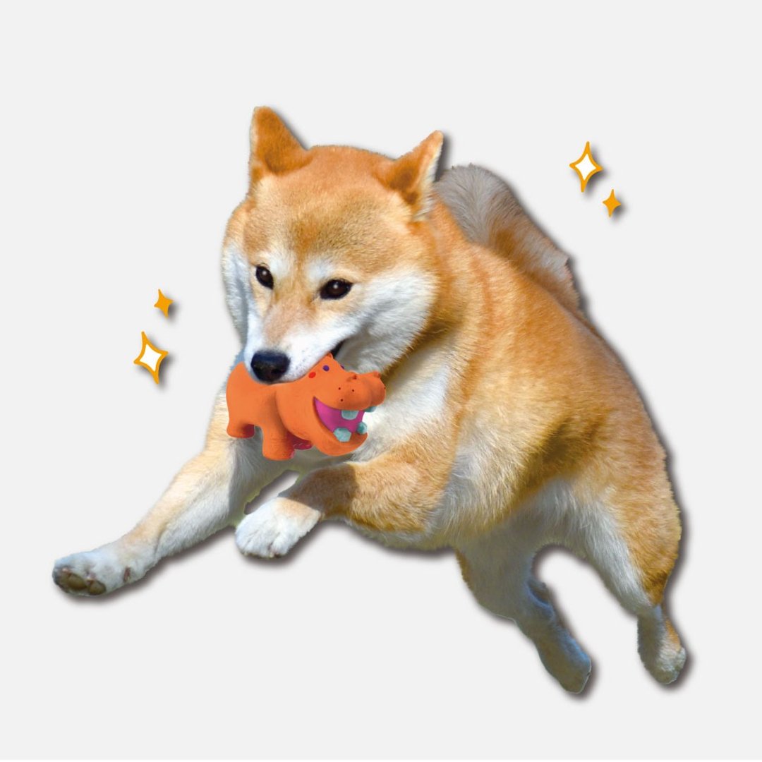 【日本DoggyMan】一起玩耍 ! 狗狗的幸福时光 ~ 犬用吱吱乳胶玩具 - 玩具 - 其他材质 