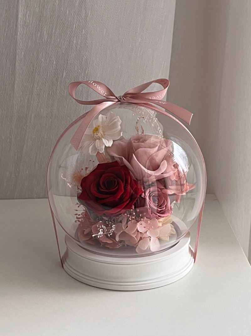 永生玫瑰花玻璃圆球钟罩夜灯拍拍感应灯 - 干燥花/捧花 - 植物．花 多色