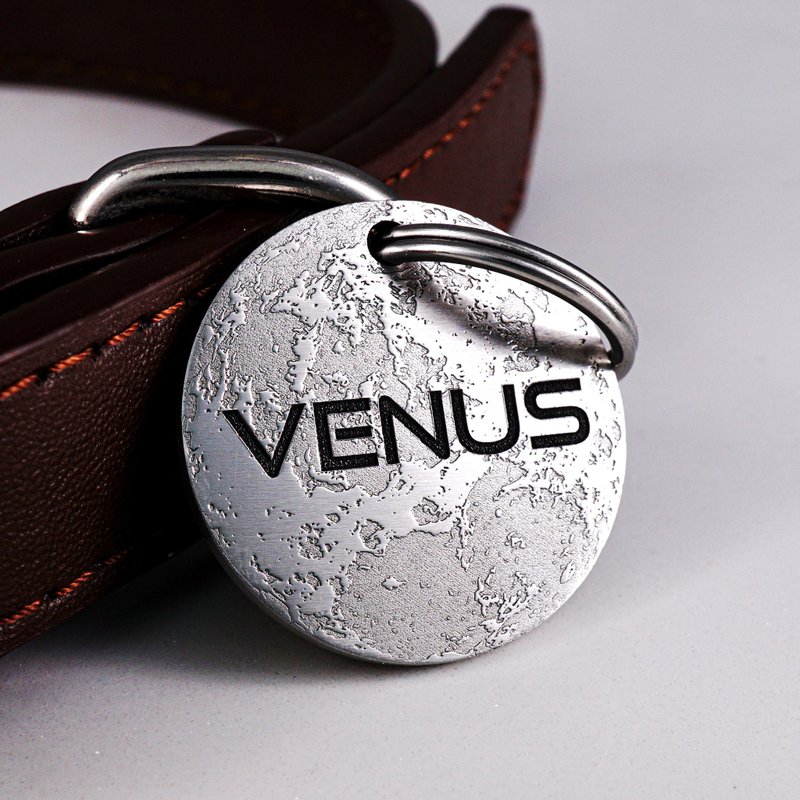 个性化宠物 ID 标签 雕刻猫 ID 标签 定制狗牌 Venus 狗牌 - 项圈/牵绳 - 不锈钢 银色