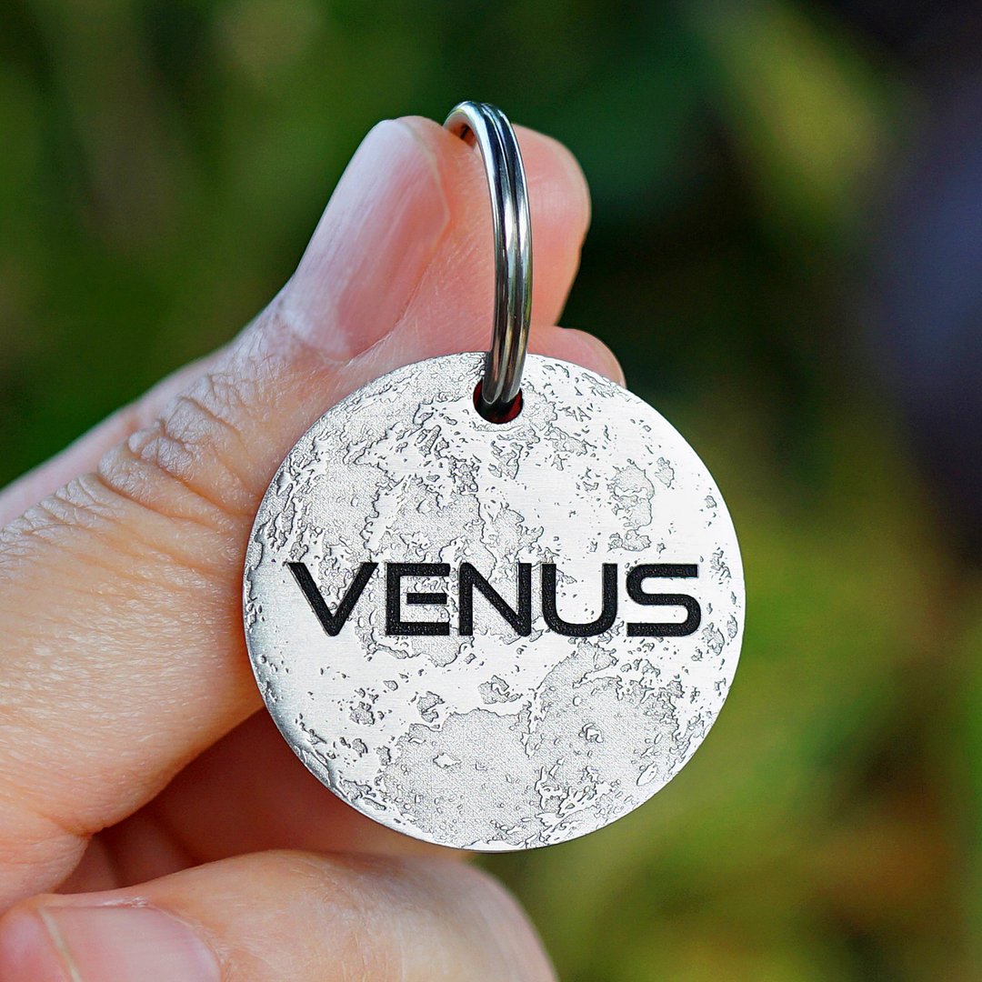 个性化宠物 ID 标签 雕刻猫 ID 标签 定制狗牌 Venus 狗牌 - 项圈/牵绳 - 不锈钢 银色