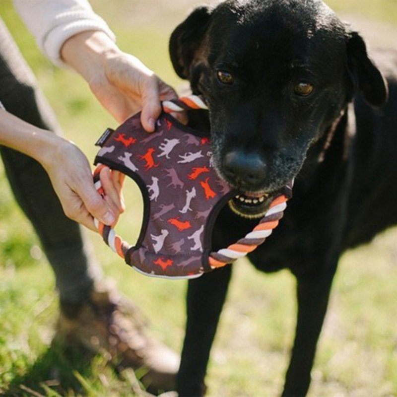 露营野趣 宠物玩具 狗狗 抛接飞盘 2色 - 玩具 - 环保材料 