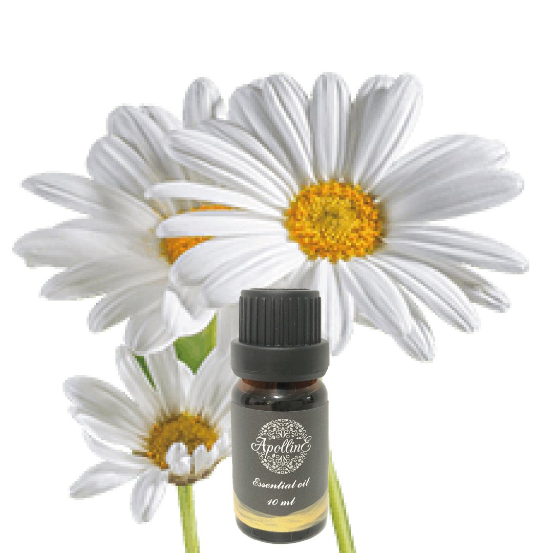 罗马洋甘菊精油 ROMAN CHAMOMILE - 香薰/精油/线香 - 精油 