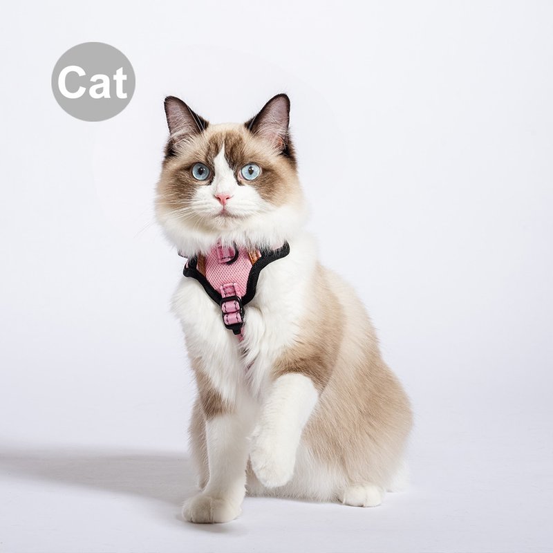 Pawfect-Fit! Pet Harness 机能宠物胸背带2.0(Cat) - 项圈/牵绳 - 聚酯纤维 