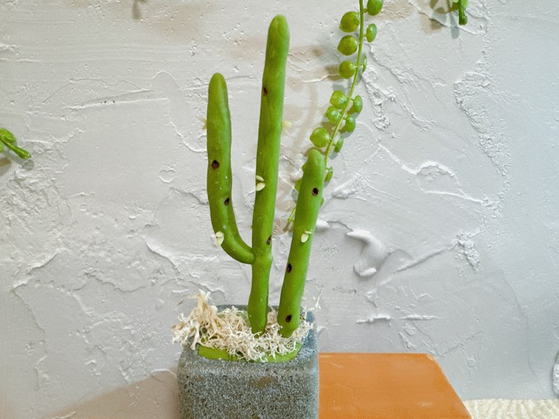 黏土多肉拇指盆 - 植栽/盆栽 - 粘土 绿色