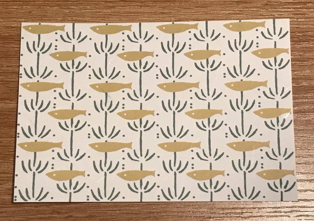 Postcard Medaka / Killifish (white) - 卡片/明信片 - 纸 绿色
