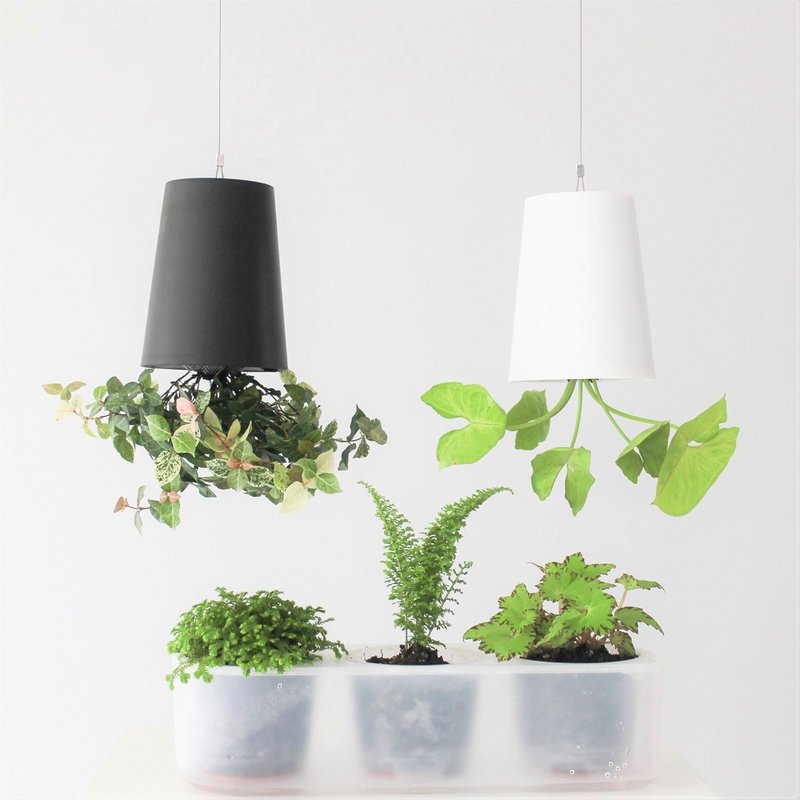 天空/耕作之盆 自动汲水花器 ２+１入组 - 花瓶/陶器 - 塑料 白色