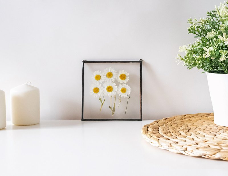 Pressed daisy in glass frame for home decor Pressed flower art Gift for her - 墙贴/壁贴 - 玻璃 黑色