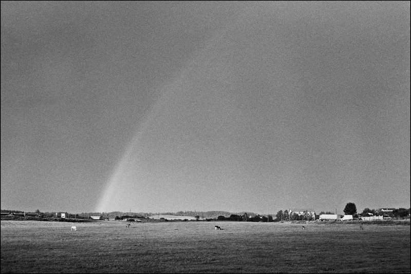 彩虹 在现场 - 电子手绘真人画像/绘画/插画 - 其他材质 