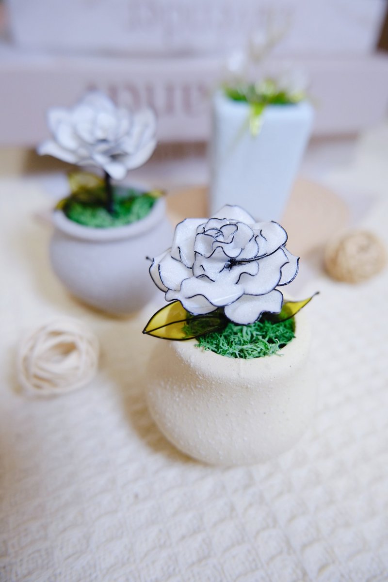 【组合活动】水晶花疗愈小植 2 入组 - 摆饰 - 树脂 白色