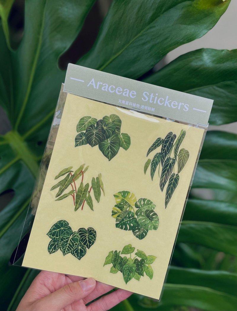 天南星科 观叶植物 透明雾面贴纸 - 卡片/明信片 - 防水材质 绿色