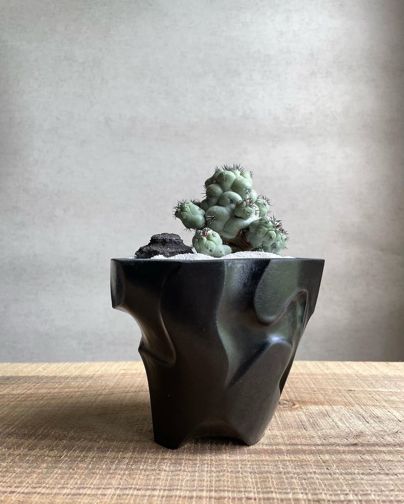 星谷Light Forest  炎蚀 水泥盆 - 花瓶/陶器 - 水泥 