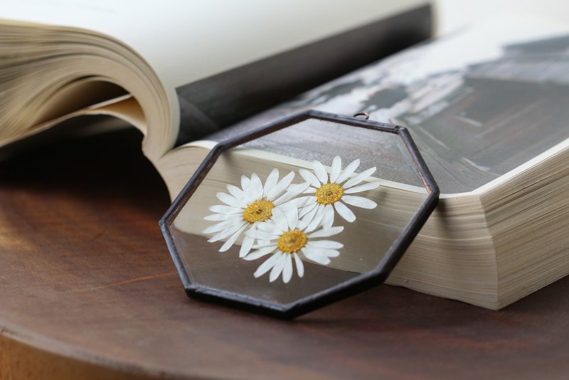 植物图鉴∣白色玛格丽特∣八角玻璃镶崁∣植物标本 - 干燥花/捧花 - 植物．花 