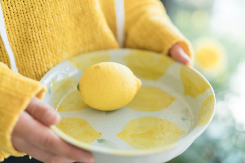 柠檬餐盘深盘平盘汤盘菜盘陶瓷器皿设计师手作手绘原创设计独家 - 盘子/餐盘/盘架 - 瓷 