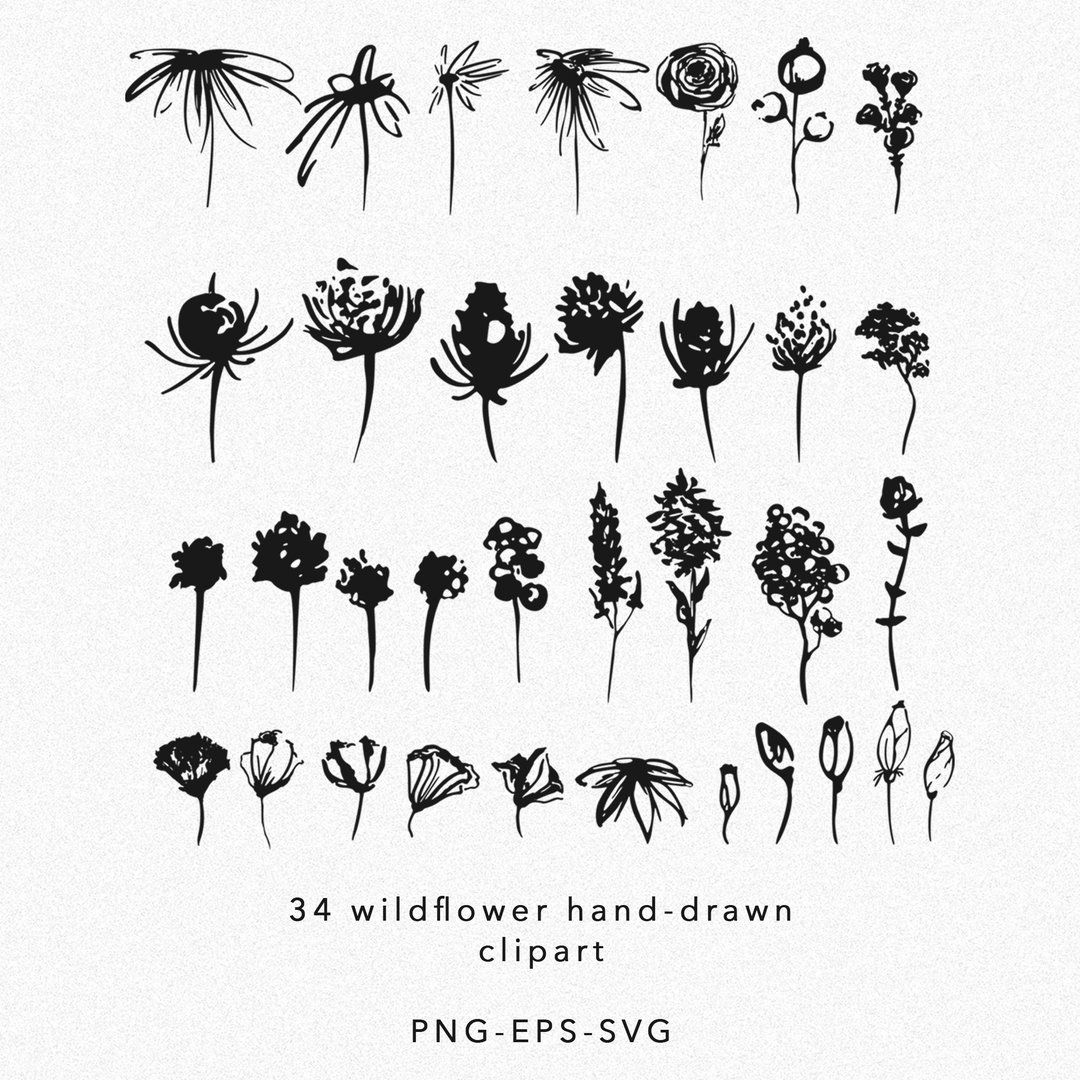 Wildflower botanical sketch svg illustration, leaves and branch line art clipart - 插画/绘画/写字 - 其他材质 