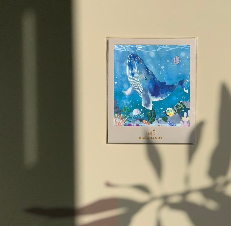 擦拭布/拭镜布/眼镜布/超细纤维/插画/海洋系列 鲸鱼 - 眼镜盒/眼镜布 - 聚酯纤维 