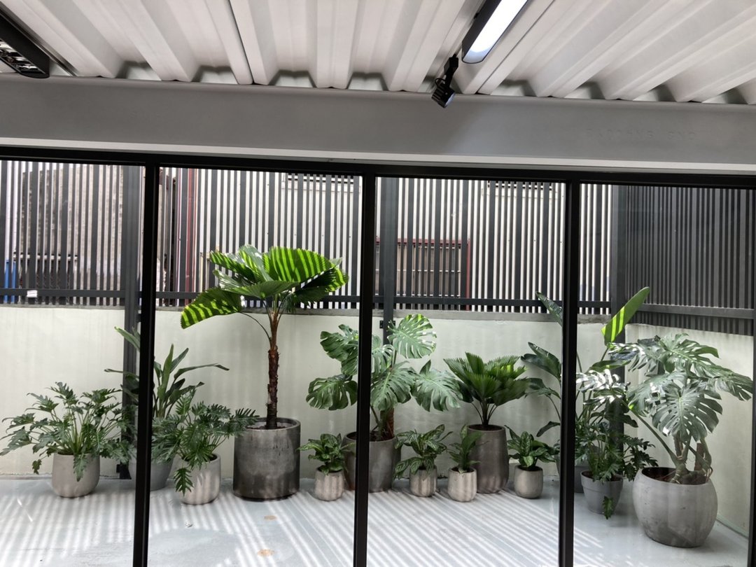 【居家绿化】台南透天厝－雨林热带风 - 植栽/盆栽 - 植物．花 