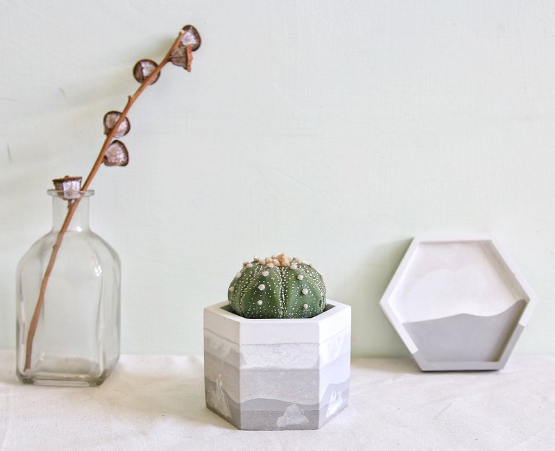 星兜 • 灰白晨雾泥艺水泥盆栽 可定制名字 - 植栽/盆栽 - 水泥 灰色