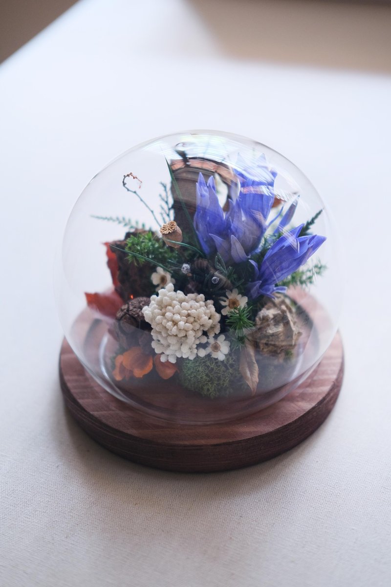 永生龙胆花标本玻璃盅/生日礼物/开幕礼物 - 干燥花/捧花 - 植物．花 