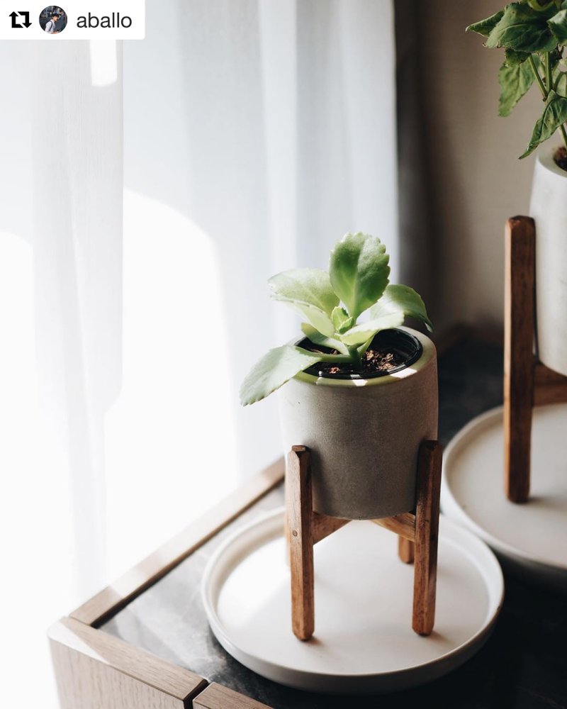 Round Series Plant Pot 8 cm. - 植栽/盆栽 - 水泥 灰色