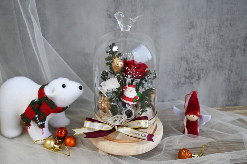 永生花钟罩-圣诞佳节的贺礼 - 干燥花/捧花 - 植物．花 红色