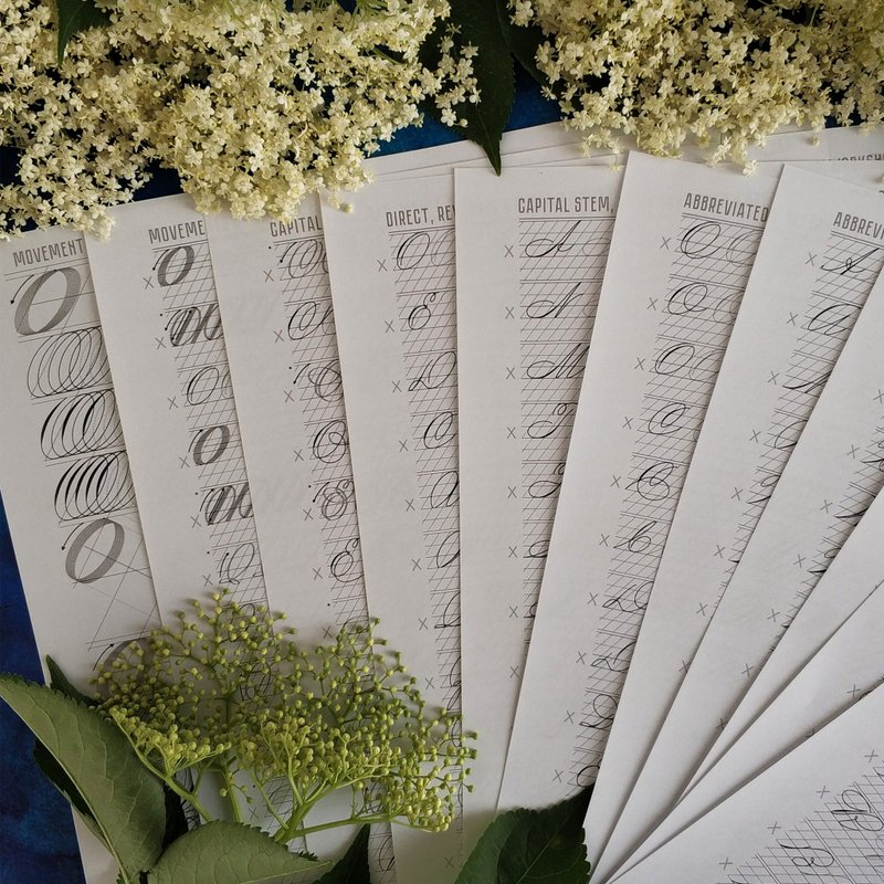 Spencerian Varietys Capital letters Printable PDF Calligraphy Practice sheets - 手工艺教程/工具书 - 其他材质 