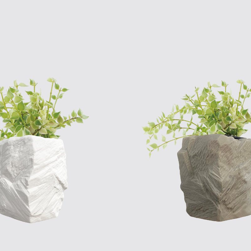 │ 方盆系列 │ 百万心 - 垂挂植物 水耕盆栽 陶瓷盆器 - 植栽/盆栽 - 植物．花 