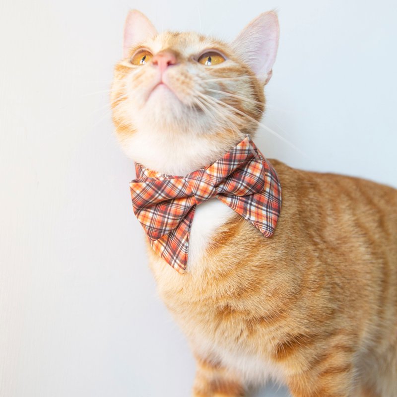 福尔摩斯 猫狗宠物项圈 领结造型格纹围脖 可印宠物名字 - 项圈/牵绳 - 其他人造纤维 多色