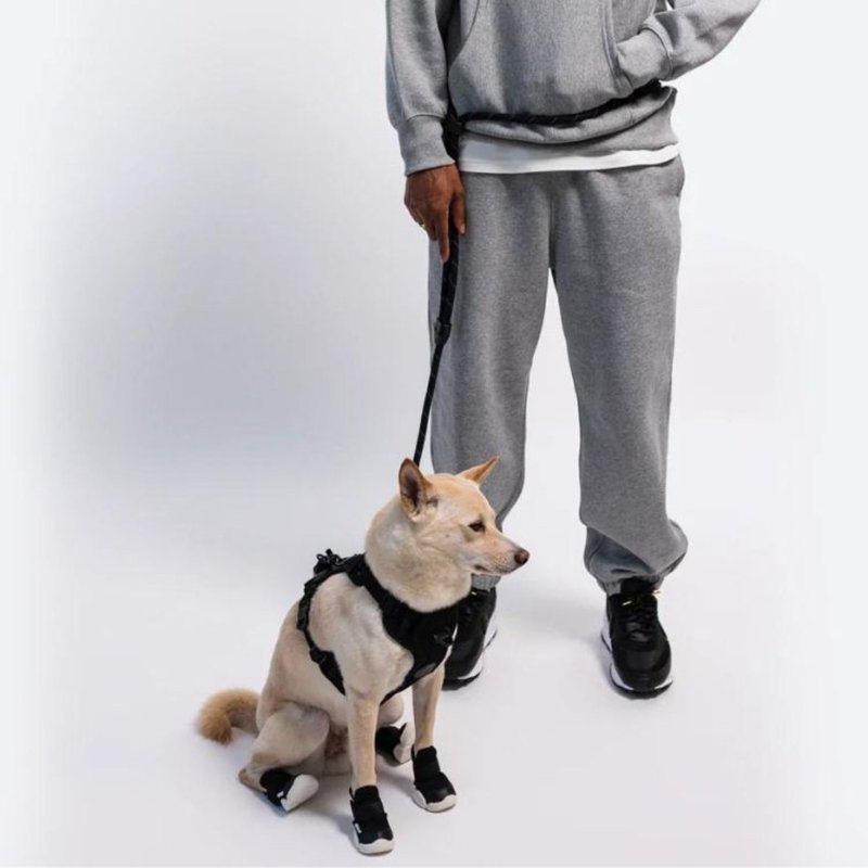 RIFRUF-夜间反光多用途牵绳-松露黑 - 项圈/牵绳 - 聚酯纤维 黑色