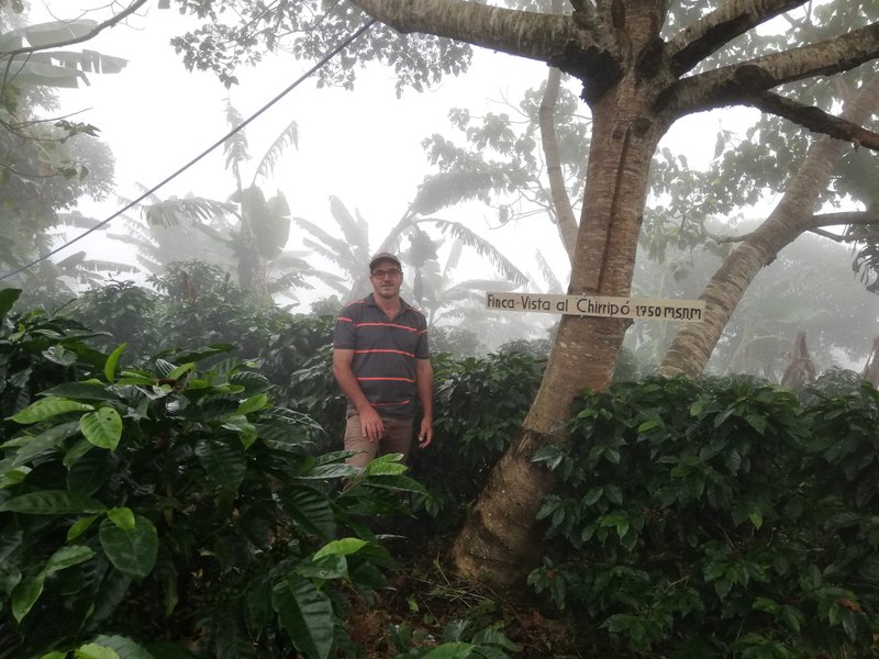 黑蜜 x 哥斯达黎加 布兰卡地区 圣荷西省 奇里波美景庄园 - 咖啡 - 新鲜食材 