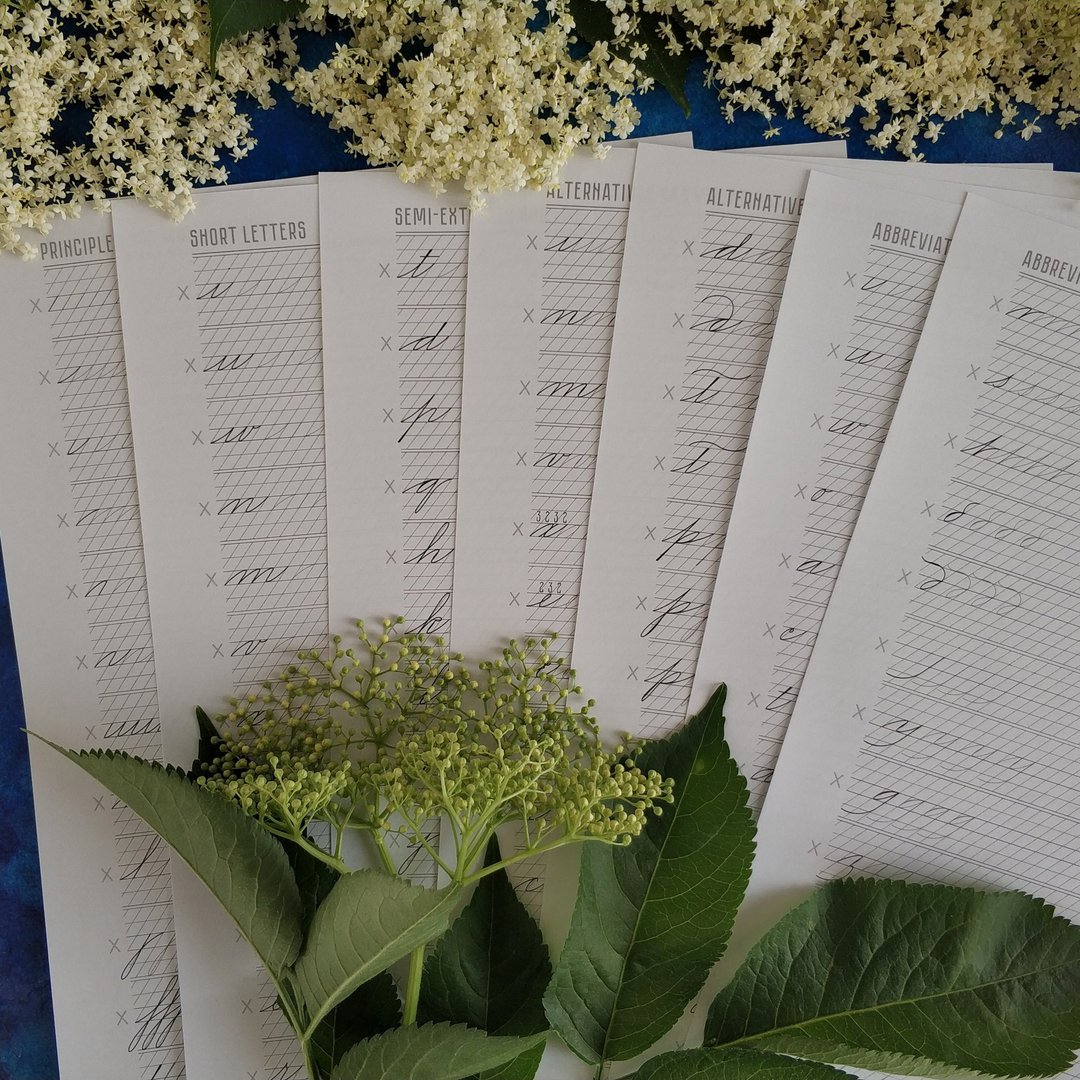 Spencerian Varietys Lowercase letters Printable PDF Calligraphy Practice sheets - 手工艺教程/工具书 - 其他材质 
