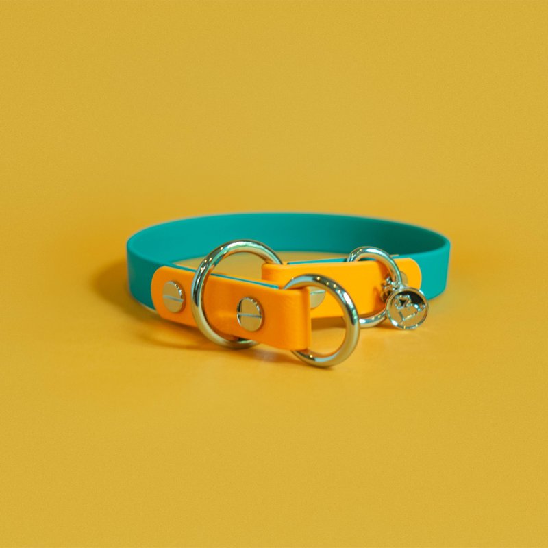 2 Tone Slip collar - 项圈/牵绳 - 其他材质 多色